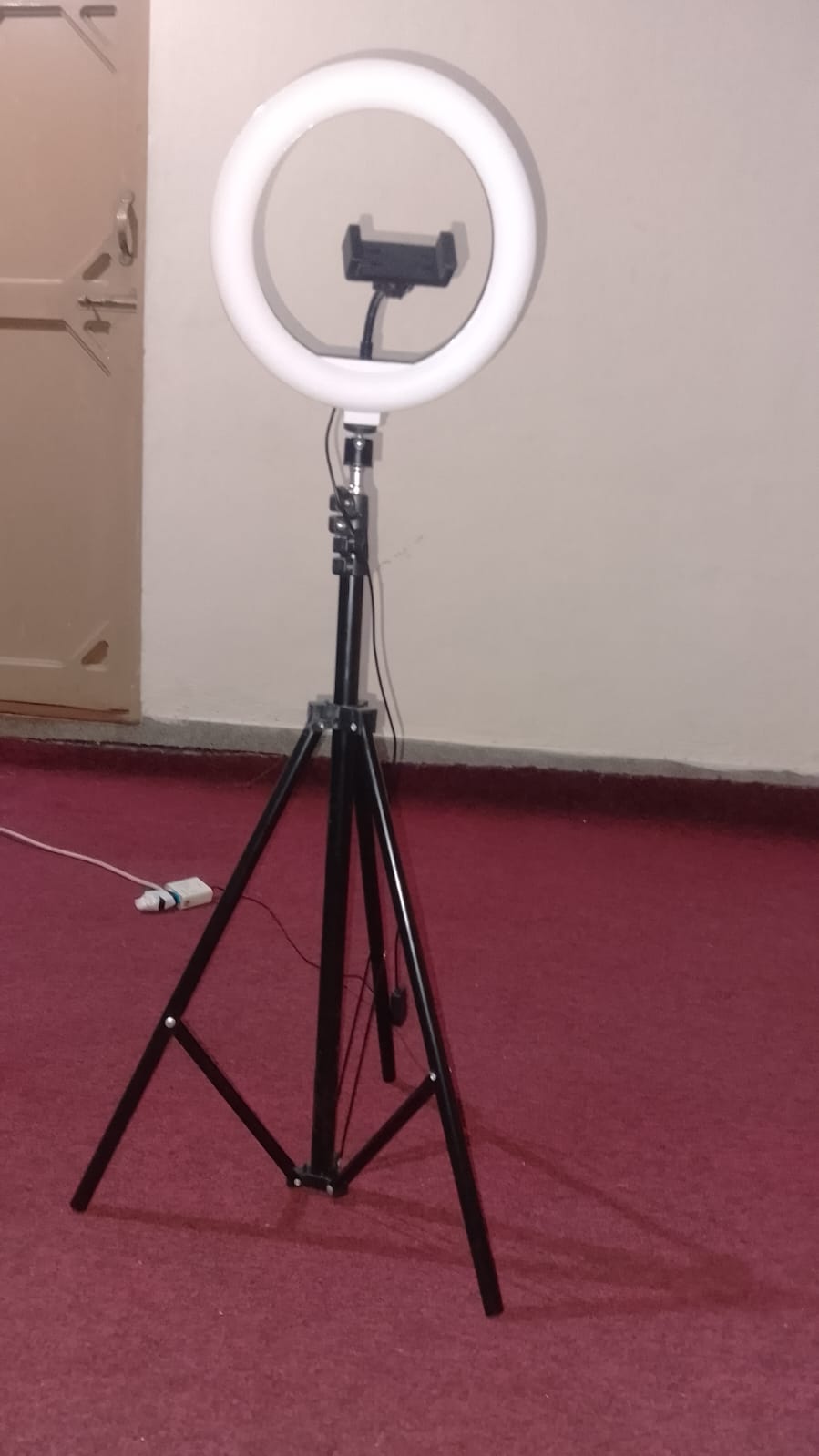 Portable 10-Inch LED Ring Light with 7 Feet Adjustable Tripod Stand & Mobile Holder